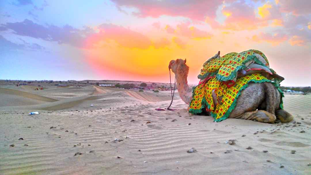 Jaisalmer In Summer
