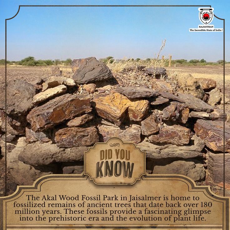 Akal Wood Fossil Park